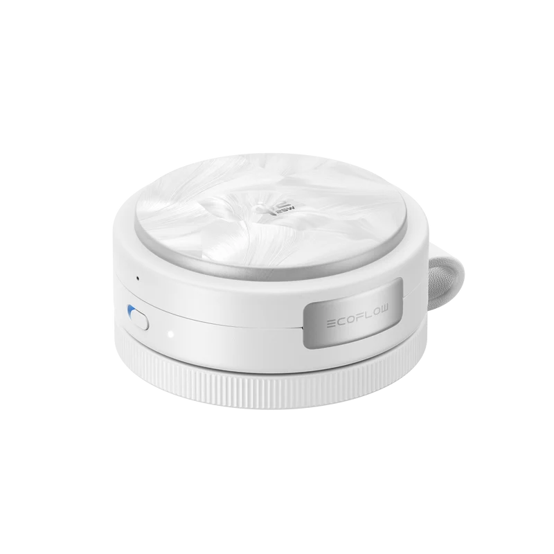 EcoFlow RAPID Mag Qi2.2 Wireless-Ladestation (3-in-1, faltbar)