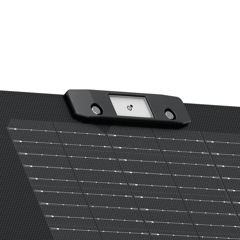 EcoFlow 160W Solar Panel (Costco Sale)