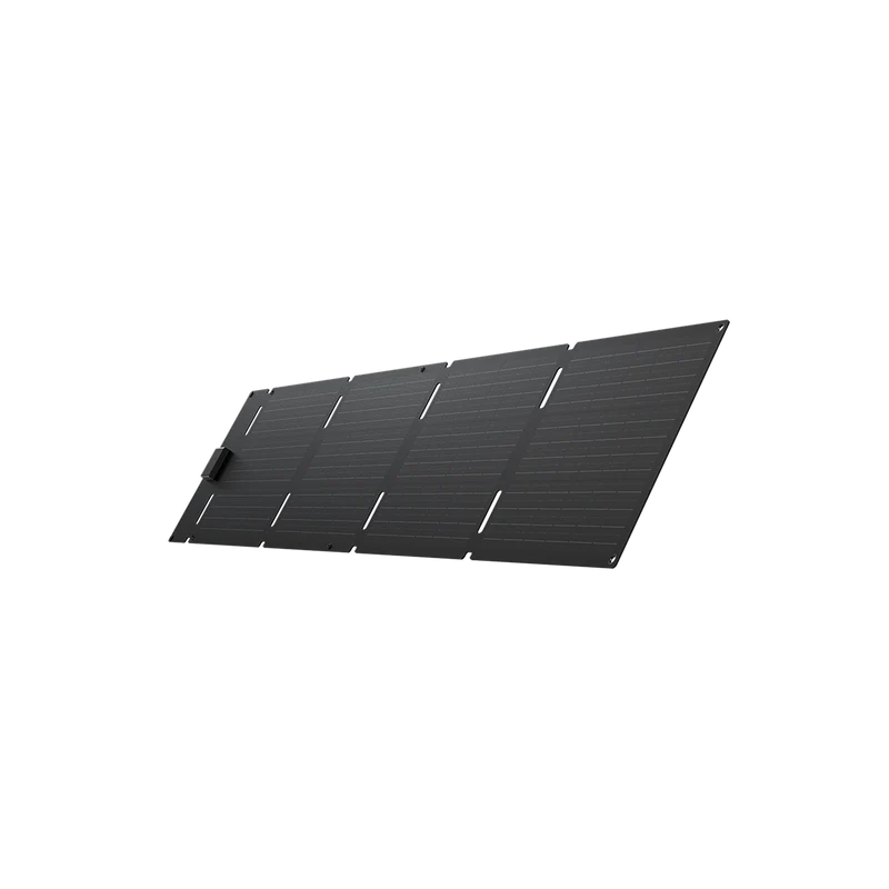 EcoFlow 60 W Tragbares Solarpanel