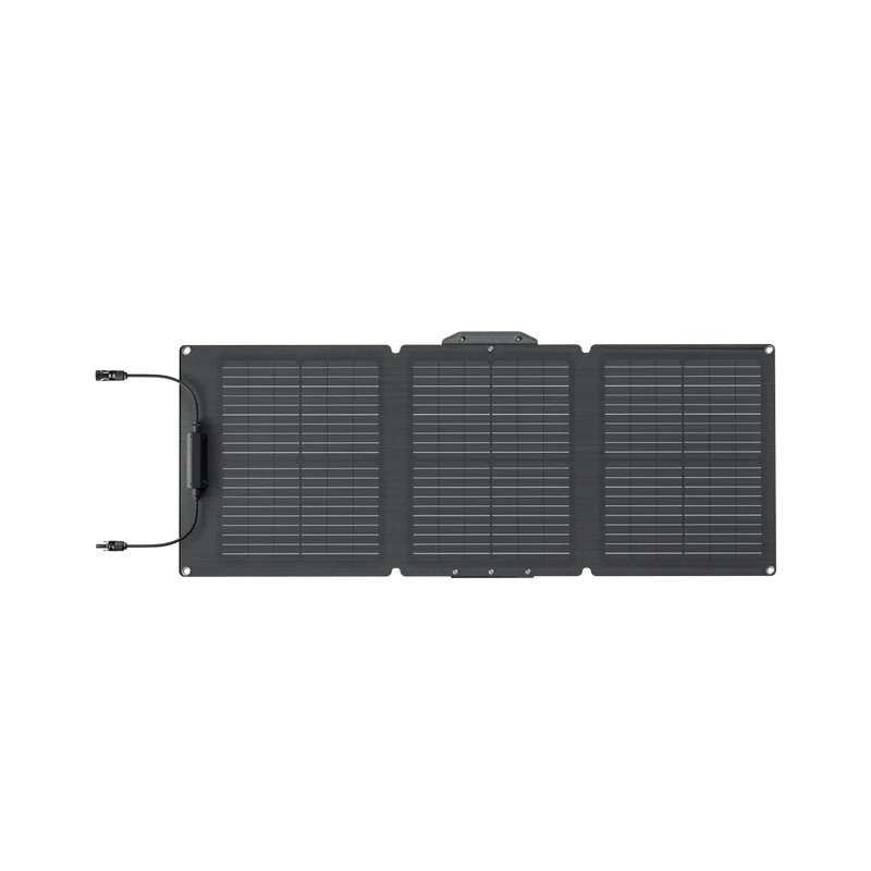EcoFlow 60 W Tragbares Solarpanel
