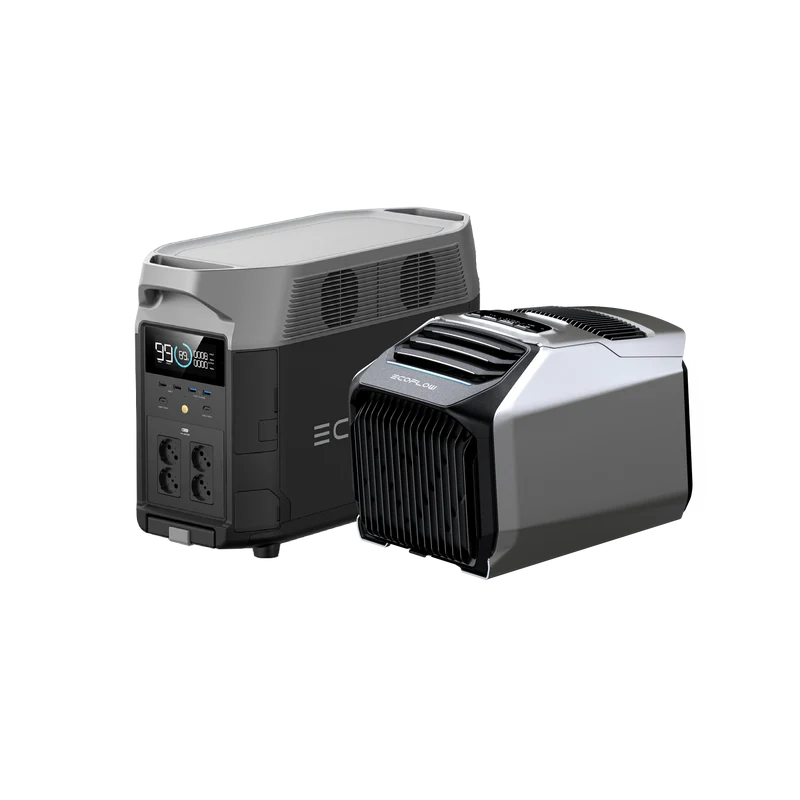 EcoFlow WAVE 2 + DELTA Pro