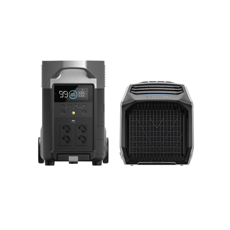 EcoFlow WAVE 2 + DELTA Pro