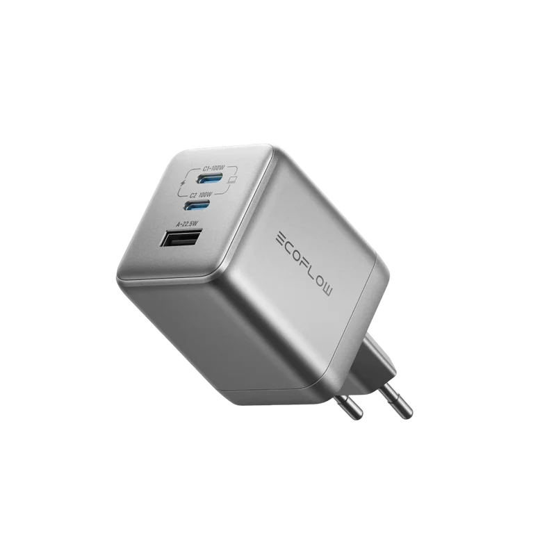 ECOFLOW 100W Charger (No cable)