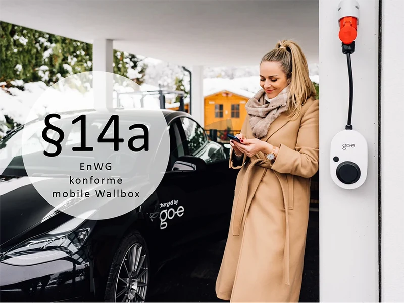 go-e Charger Gemini Flex 2.0 Traveller Set 22 kW