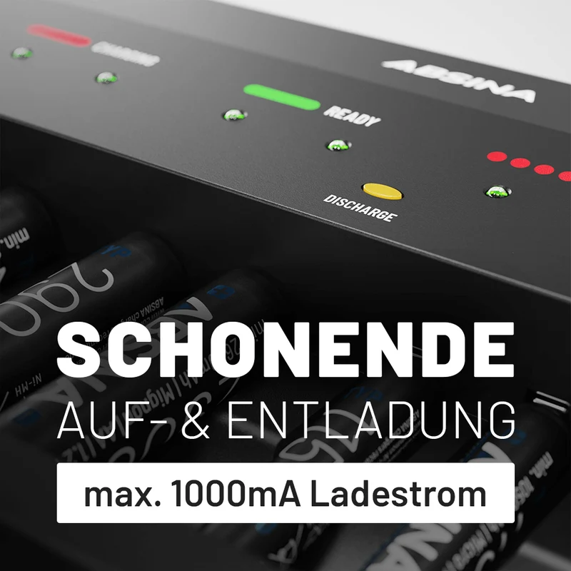 Akkuladegerät X10 für AA, AAA und Blockakkus mit 9 V