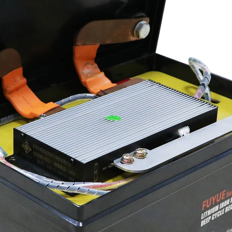 12V 200Ah LiFePO4 Lithium Eisen Akku 200A (1C) BMS für Batterie Wechselrichter Auto Wohnmobil Solarsystem
