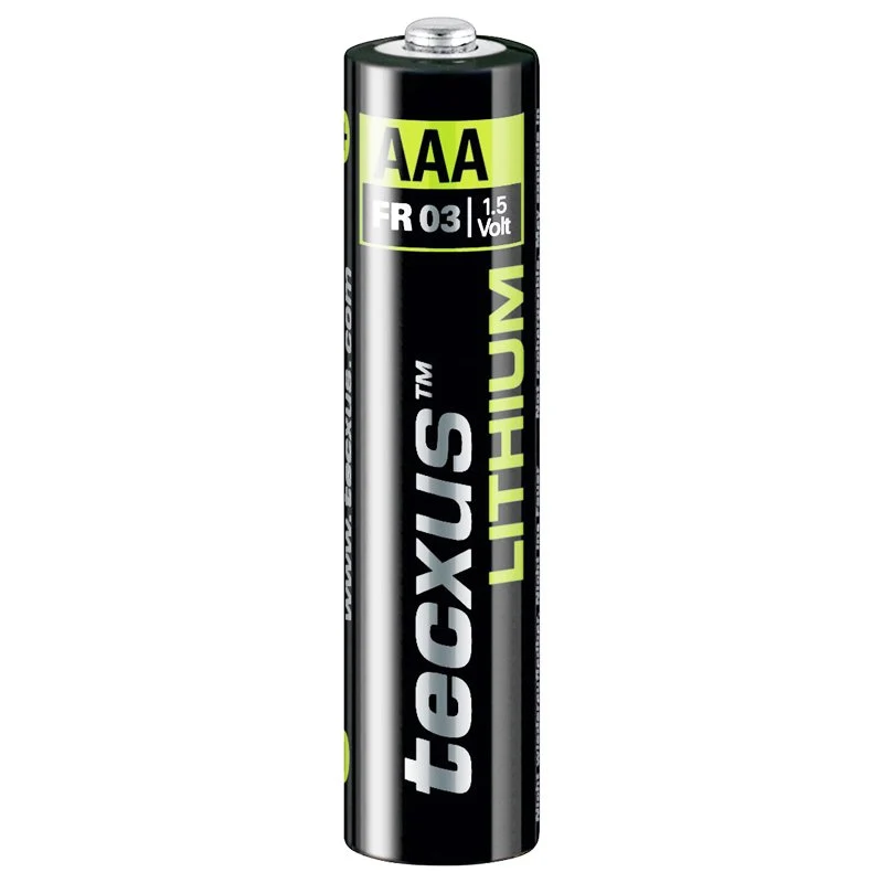 Tecxus Lithium Micro AAA LR03 Power Batterien (2 St.)