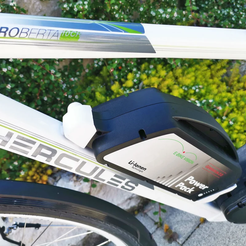 E-Bike Vision Hochleistungs E-Bike Akku Bosch Classic Line 36 Volt 17Ah 612Wh, Unterrohr, Rahmen, 2. Generation