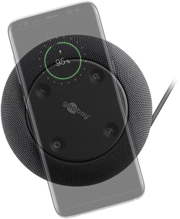 Goobay USB-C 12 in 1 Multiport Dock mit Wireless Fast Charging, vereint die gängigsten Anschlüsse, Stromabgabe 100 W, integrierter Multimedia-Lautsprecher